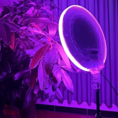 Светодиодная круглая лампа с пультом цветная 45см RGB-LED Fill Light GS-450 портативный видеосвет для съёмки Светодиодная круглая лампа с пультом цветная 45см RGB-LED Fill Light GS-450 портативный видеосвет для съёмки