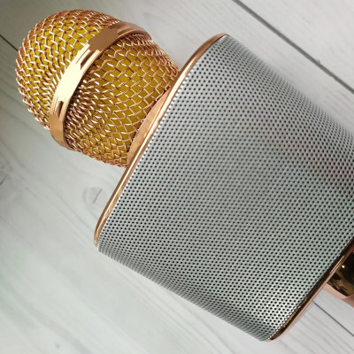 Мікрофон караоке для дітей бездротовий USB Bluetooth Іграшка мікрофон з колонкою Wster WS-1688 Рожевий Rose Мікрофон караоке для дітей бездротовий USB Bluetooth Іграшка мікрофон з колонкою Wster WS-1688 Рожевий Rose
