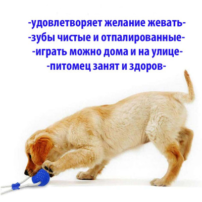 Игрушка мячик для собак мяч на веревке канат на присоске Синий Игрушки для домашних животных жевательная Игрушка мячик для собак мяч на веревке канат на присоске Синий Игрушки для домашних животных жевательная