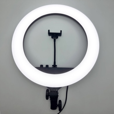 Кольцевая лампа RL18 II 512 LED со штативом и чехлом Кольцевое освещение для съемки набор блогера Кольцевая лампа RL18 II 512 LED со штативом и чехлом Кольцевое освещение для съемки набор блогера