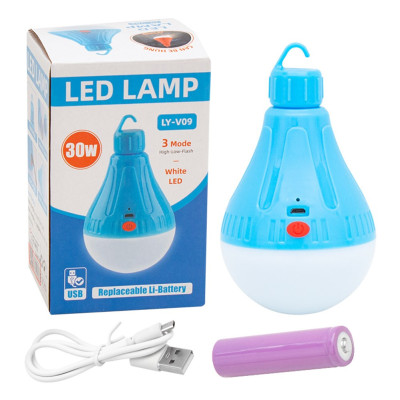 Лампа акумуляторна світлодіодна LY V09 підвісний LED світильник з гачком для кемпінгу та будинку Лампа акумуляторна світлодіодна LY V09 підвісний LED світильник з гачком для кемпінгу та будинку