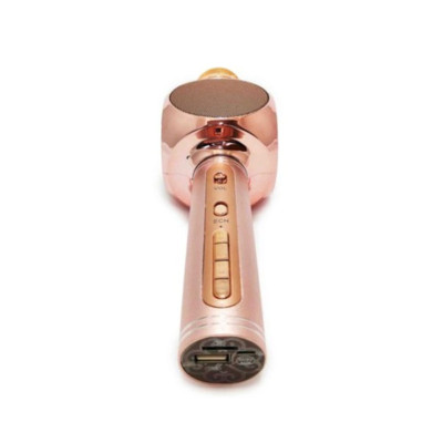 Караоке мікрофон дитячий портативний бездротової Bluetooth USB Рожевий Rose Іграшка мікрофони для дітей YS-63 Караоке мікрофон дитячий портативний бездротової Bluetooth USB Рожевий Rose Іграшка мікрофони для дітей YS-63