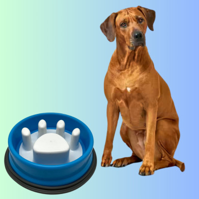 Миска для собак котов круглая Slow Feeder Bowl Лапка для медленного кормления пластиковая